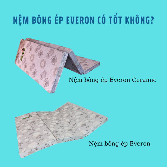Nệm bông ép Everon có tốt không