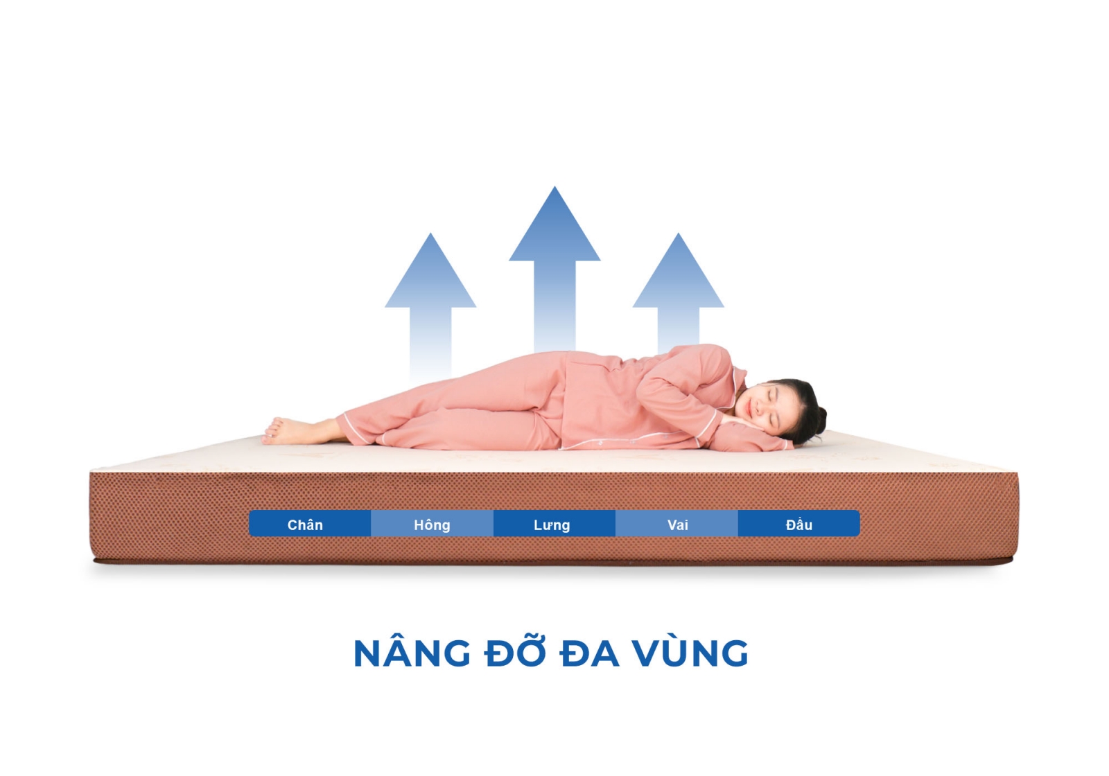 Nệm cao su Aroma Foam Latex (tên cũ Adora)