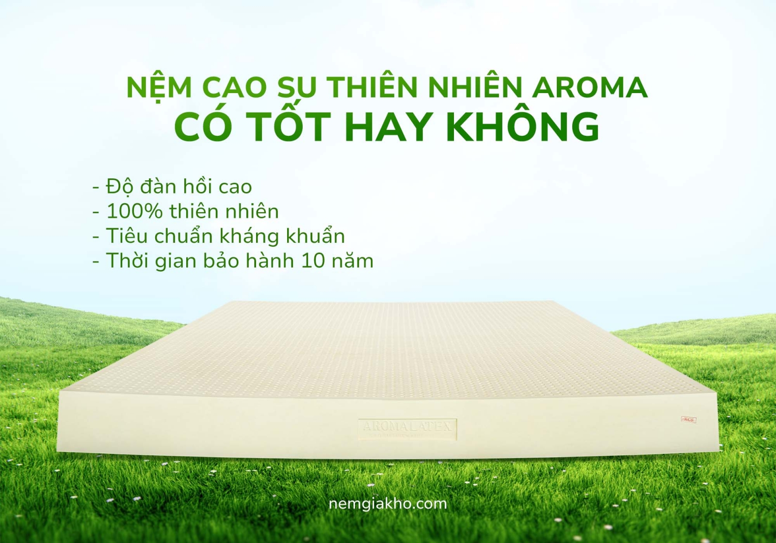 Nệm cao su Aroma