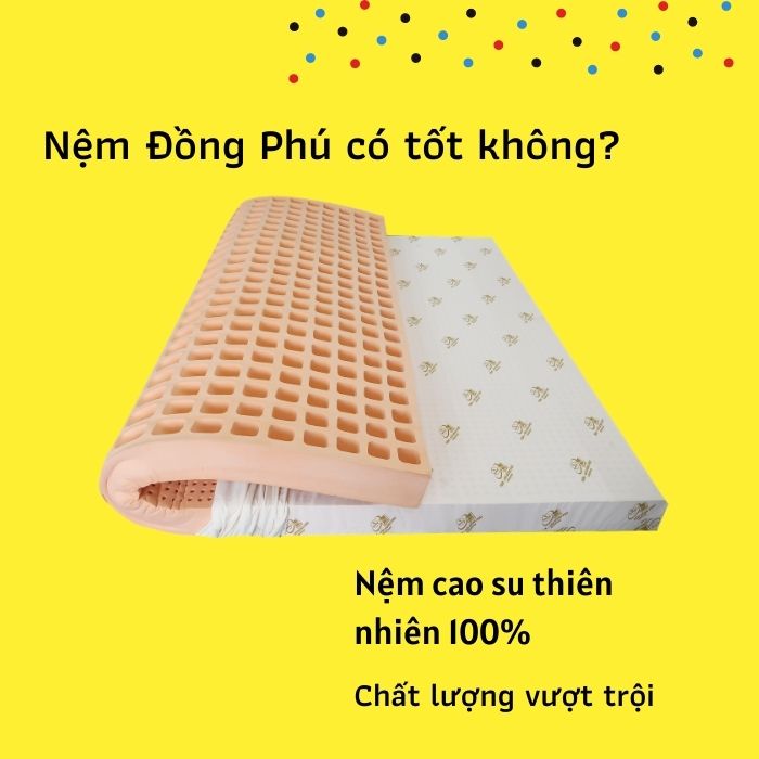 Nệm cao su Đồng Phú