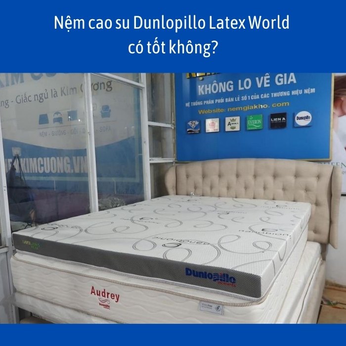nem cao su dunlopillo