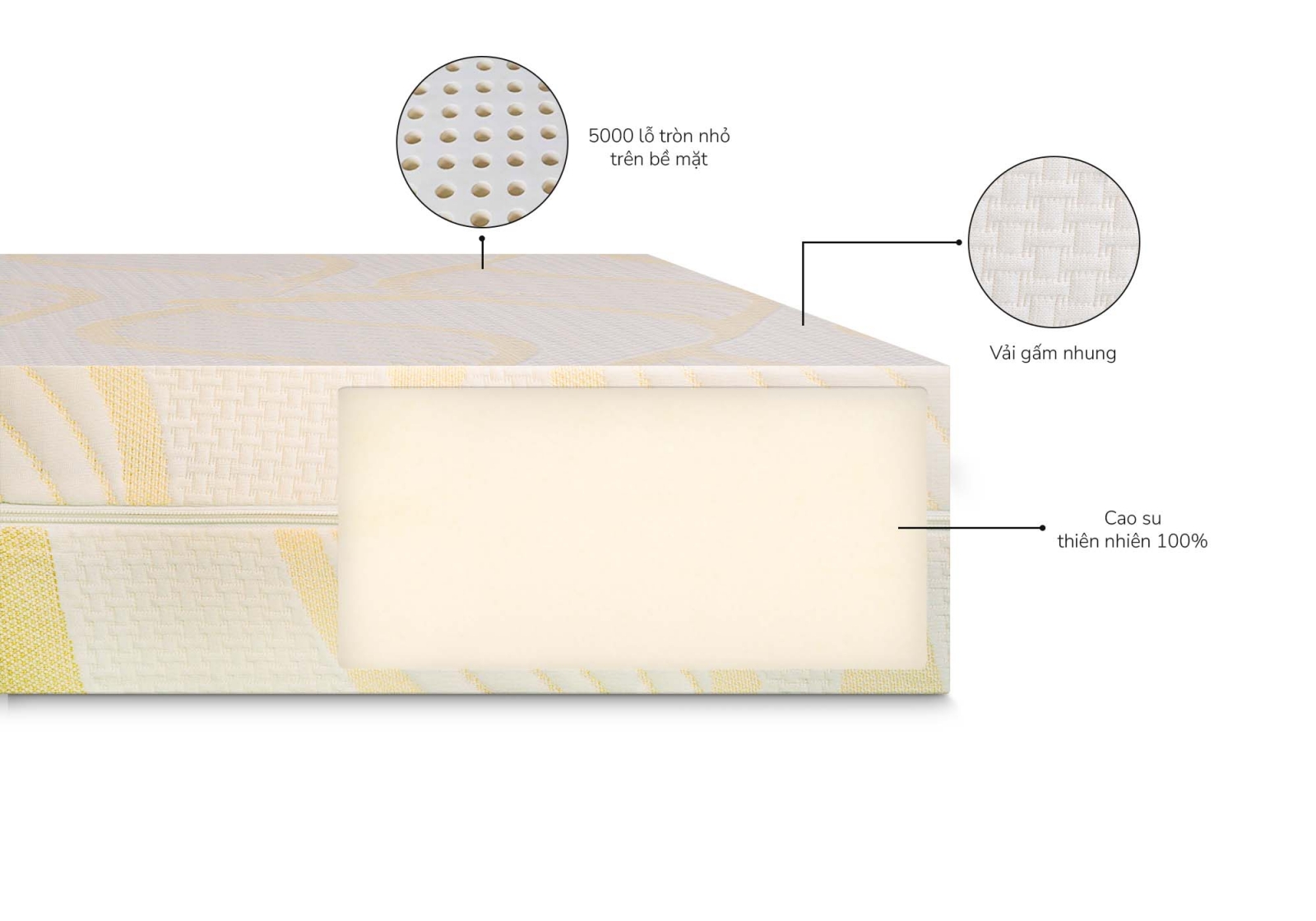 Nệm cao su thiên nhiên Aroma Latex (tên cũ Adora)