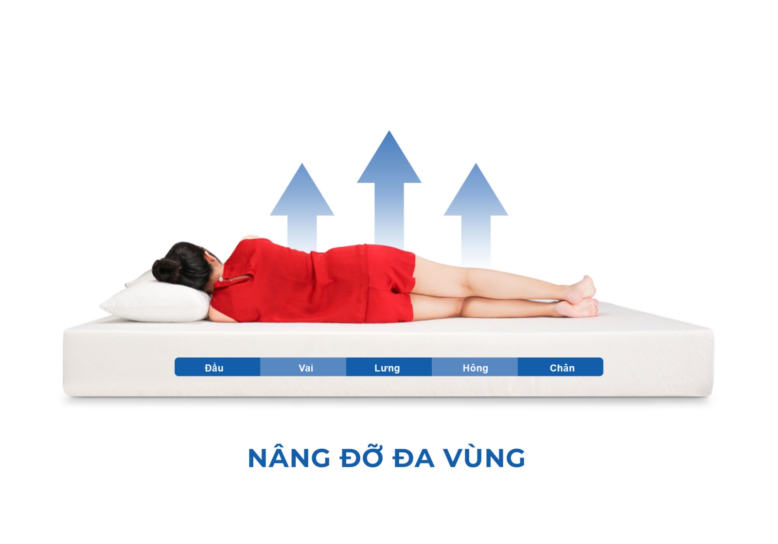 Nệm Foam Aroma Classic