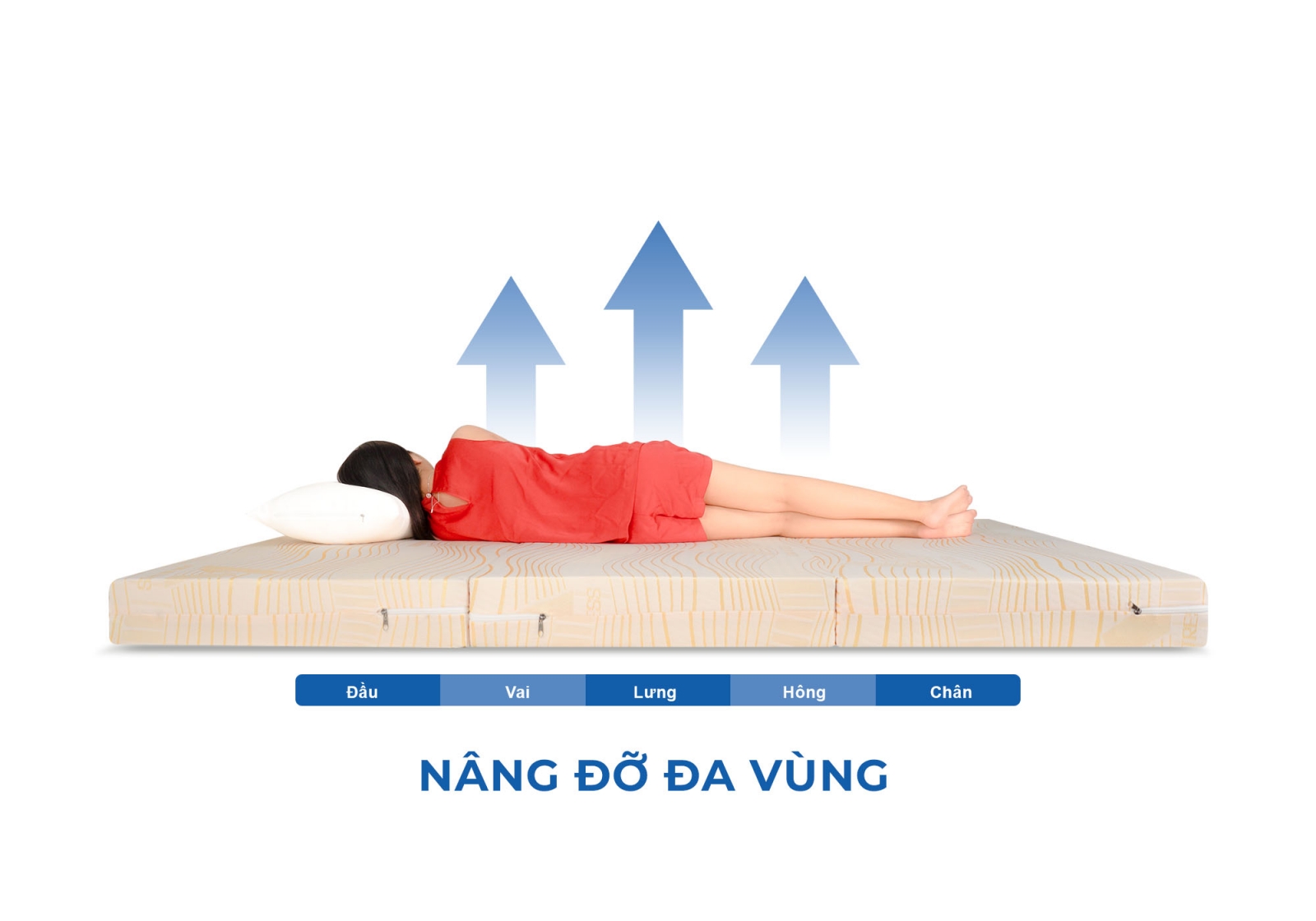 Nệm gấp 3 cao su  Aroma Latex