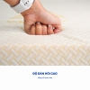 Nệm foam Aroma Classic gấp 3