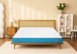 Mua Nệm Foam 1m6x2m Chính Hãng Giá Tốt Ở Đâu